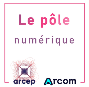 Logo du pöle numérique commun (janvier 2022)