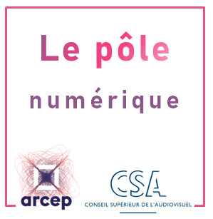 Logo du pöle numérique commun